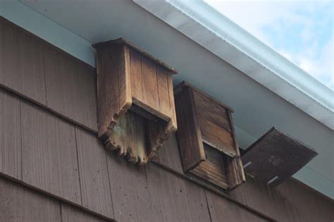 galvanized sheet metal for bat houses|metal roof for bat house.